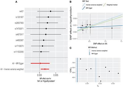 Association between non-scarring alopecia and hypothyroidism: a bidirectional two-sample Mendelian randomization study